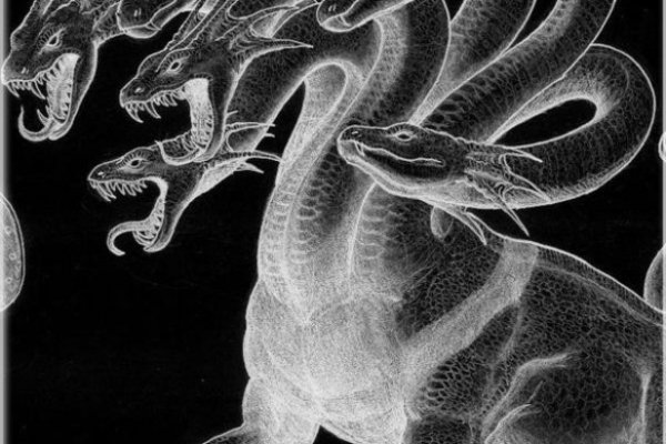 Kraken настоящая ссылка