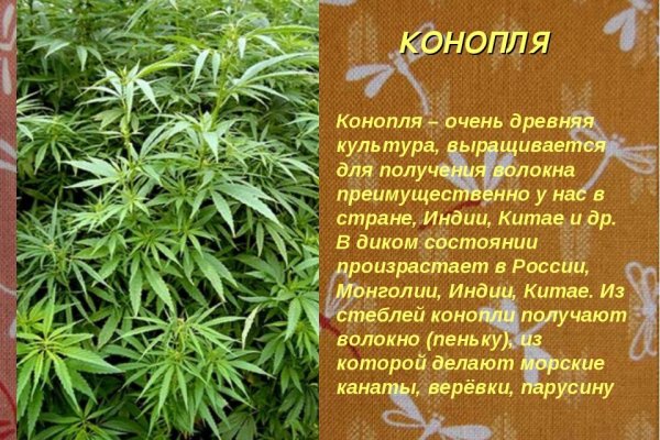 Кракен ссылка тупа германия